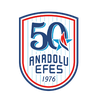 ANADOLU EFES logo