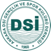 ANKARA DSİ logo