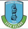 BERGAMA AKADEMİ SPOR logo