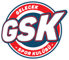 GELECEK logo