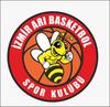 İZMİR ARI BASKETBOL SPOR logo