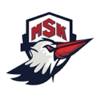 MAVİŞEHİR SK logo