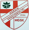 MERSİN GENÇLERBİRLİĞİ logo