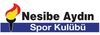 NESİBE AYDIN logo