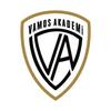 VAMOS logo